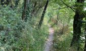 Trail Walking Dinant - De Dinant à Godinne par le GR126 - Photo 17