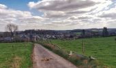 Tour Wandern Gedinne - Balade de Vencimont à Sart-Custine - Photo 4