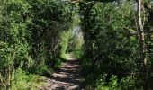 Percorso Marcia Braives - Fumal, via chemin des chevreuils - Photo 5