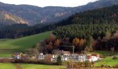 Tour Zu Fuß Elzach - Elzach - Biereck - Photo 7