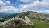 Trail Walking Saint-Projet-de-Salers - Col de Legal Cabrespine  - Photo 5