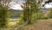 Trail Walking Viroinval - Olloy sur Viroin 23 km - Photo 2