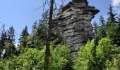 Tour Zu Fuß Weißenstadt - Rundwanderweg Weißenstadt Nr. 3 - Photo 6