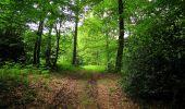 Excursión Senderismo Coyolles - en forêt de Retz_78_les rayons du Rond Capitaine - Photo 8