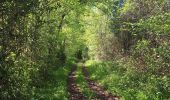 Tour Wandern Valorbiquet - St Cyr du Ronceray/Pretreville  - Photo 4