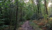 Randonnée Marche Neupré - Sentiers communaux Plaineveaux Esneux - Photo 3