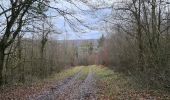 Trail Walking Montauville - vilcey sur Trey depuis le Pétant - Photo 15
