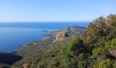 Randonnée Marche Saint-Raphaël - Massif de l'Estérel, Cap Roux  - Photo 2