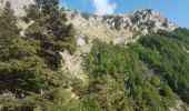 Trail Walking Pontis - Pic du Morgon par Serre-Chiret - Photo 12