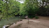 Excursión Senderismo Maisons-Alfort - GR15 Première étape - Photo 16