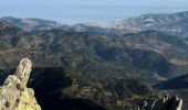 Randonnée A pied Collioure - La Tour Massane par le Chemin de l'Eau - Photo 4