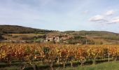 Tour Zu Fuß Chazay-d'Azergues - Tour des Pierres Dorées en Beaujolais - Photo 6