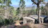 Tour Wandern Bagnols-en-Forêt - 20210310 Bayonne Blavet Forteresse 3 - Photo 16