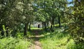 Trail Walking Sainte-Anastasie-sur-Issole - Saint Quinis - Ste Anastasie - Photo 16
