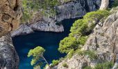 Tocht Stappen Cassis - calanques a cassis q - Photo 12