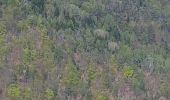 Trail Walking Crots - Boscodon  - Photo 3