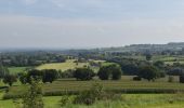 Tour Wandern Bleiberg - 20210906 - Hombourg 7 Km - Photo 11