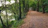 Trail Walking Auderghem - Oudergem - Rouge-Cloître - Etangs Mellaerts - Photo 5