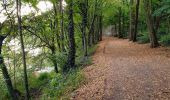 Tocht Stappen Oudergem - Rouge-Cloître - Etangs Mellaerts - Photo 5