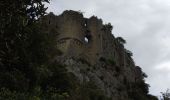 Trail Walking Rouet - les falaises de l'hortus - Photo 11