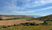 Trail Walking Wissant - Les caps blanc nez: le petit et le grand - Photo 8