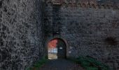 Tour Zu Fuß Hirschhorn - Rundwanderweg Parkplatz Schloss Hirschhorn 7: Zur Brunnenstube - Photo 9