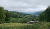 Tour Wandern Eaux-Bonnes - GR 10 - 17ème étape : Gourette - com de Tortes - Arrens - Photo 1