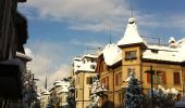 Tour Zu Fuß Wald (ZH) - Wald - Bannholz - Photo 1