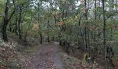 Percorso Marcia Chaudfontaine - via bois des dames et bois de la rochette  - Photo 2