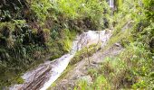 Randonnée Marche Saint-Claude - Guadeloupe - Chute du Galion - La Citerne - Photo 7