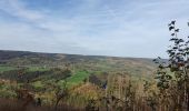 Trail Walking Trois-Ponts - brume 2 - Photo 8