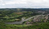 Tocht Te voet Konz - G9: Konz <=> Saarburg - Photo 1