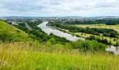 Tocht Te voet Villeneuve-sur-Yonne - Villeneuve Sur Yonne - Sens 32 km étape 1/3 - Photo 2