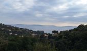 Trail Road bike Le Lavandou - bormes col canadel bormes - Photo 12