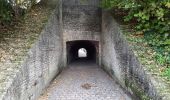 Randonnée Marche Ypres - ypres- moitié des remparts  - Photo 3