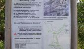 Trail Walking Hohrod - Circuit historique 1914-1918 Hohrodberg - Linge - Photo 2