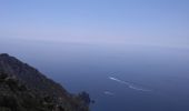 Percorso Bici da strada Sanary-sur-Mer - Sanary-Chapelle du Mai-Ollioules - Photo 5