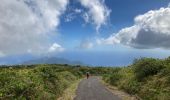 Tocht Stappen Saint-Claude - La Soufrière (retour) - Photo 3