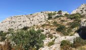 Trail Walking Robion - Robion les taillades rochers de baude  - Photo 12