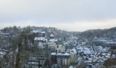 Tocht Stappen Monschau - A la découverte de Montjoie 🥾 - Photo 8