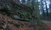 Trail Walking Newel - RÖMERPFAD - Photo 2