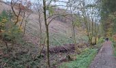 Trail Walking Waimes - RS 2024_10 Botrange  - Photo 19