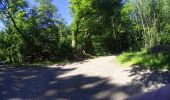 Randonnée V.T.T. Cerfontaine - VTT entre les lac de Silenrieux - Photo 6