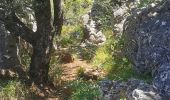 Randonnée Marche La Roquebrussanne - La Roque La loube Col de la barraque les orris - Photo 8