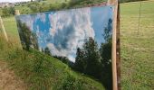 Trail Walking Pontpierre - expo nature Faulquemont  - Photo 12