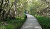 Tocht Stappen Murol - AUTOUR DU LAC CHAMBON  - Photo 4