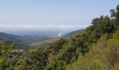 Tour Wandern Banyuls-sur-Mer - PuigSallfort_T - Photo 8