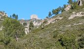 Excursión Senderismo Allauch - Massif de l'Etoile, pilon du Roi, 05-02-2025 - Photo 3