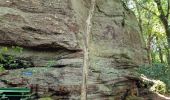 Tour Wandern Berdorf - Mullerthal Berdorf B5+B8 Raiberhiel-Teufelsinsel-Siewenschleff-Berdorfer Kasselt-Keltenkapp-Passage Mandrack-Geierslay-Perekop-Huel Lee (PVDB) - Photo 5