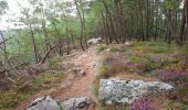 Tour Wandern Crozon - Pointe de Morgat - Cap de la Chèvre Boucle GR34 - 19.7km 500m 6h00 - 2019 09 13 - Photo 1